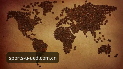 资深用户分享UED安全认证使用指南：从注册到登录的完整心得