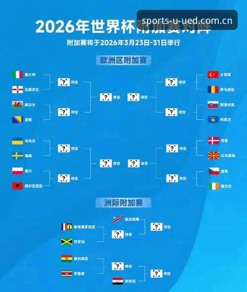 世界杯观赛困局深度分析：签证壁垒与地缘政治如何影响全球球迷体验